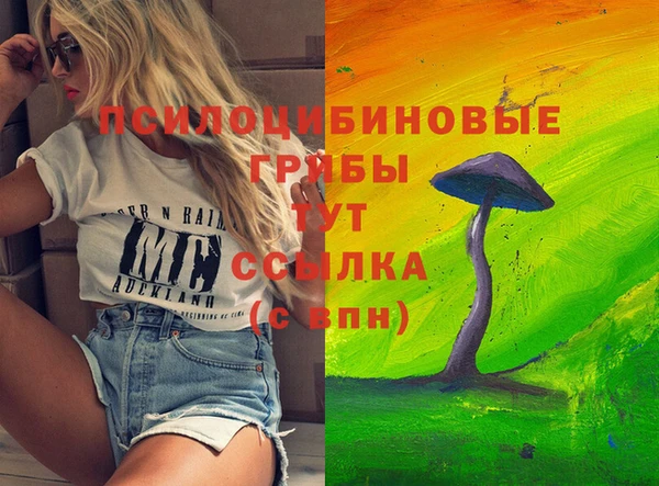 mdpv Мегион