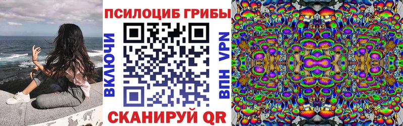 где купить наркоту Олонец Галлюциногенные грибы ЛСД